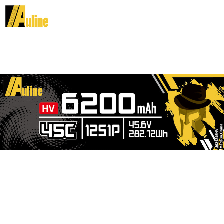 HV LiPo Battery 6200MAH 12S1P 45.6V 45C XT60/ XT90/ XT150 /EC8
