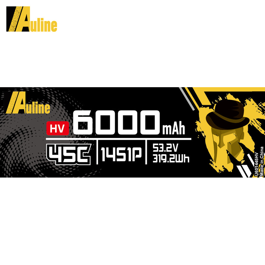 HV LiPo Battery 6000MAH 14S1P 53.2V 45C XT60/ XT90/ XT150 /EC8