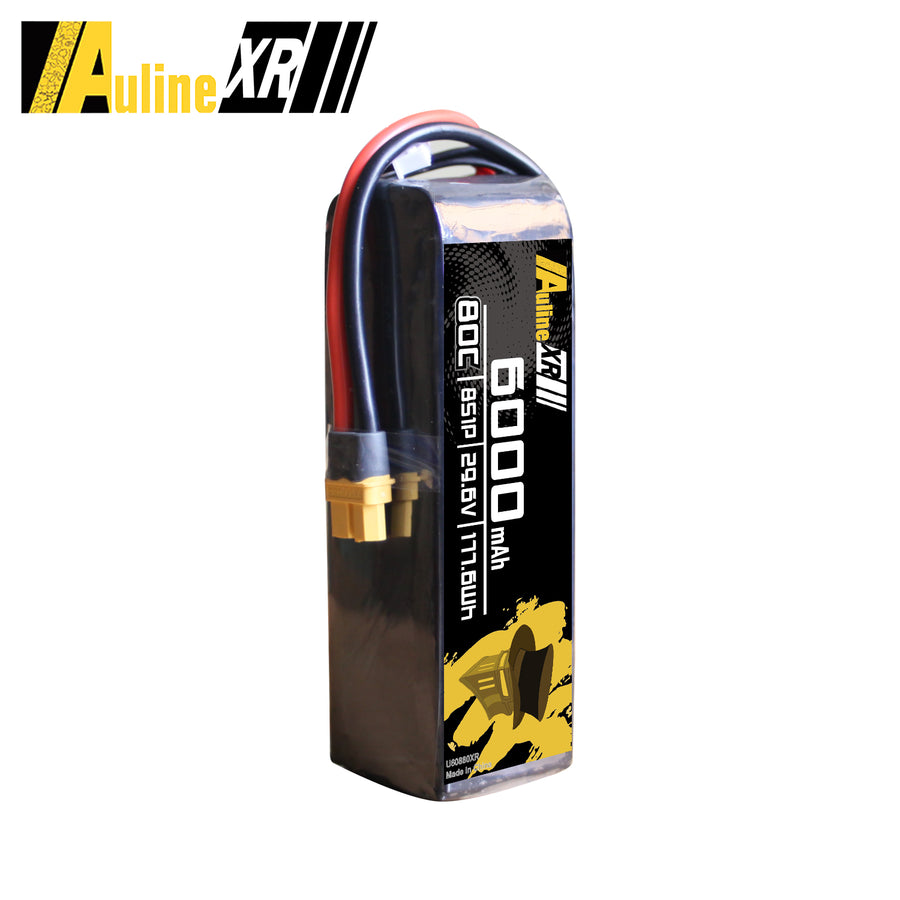 5PCS XR 6000MAH 8S1P 29.6V 80C XT60/XT90