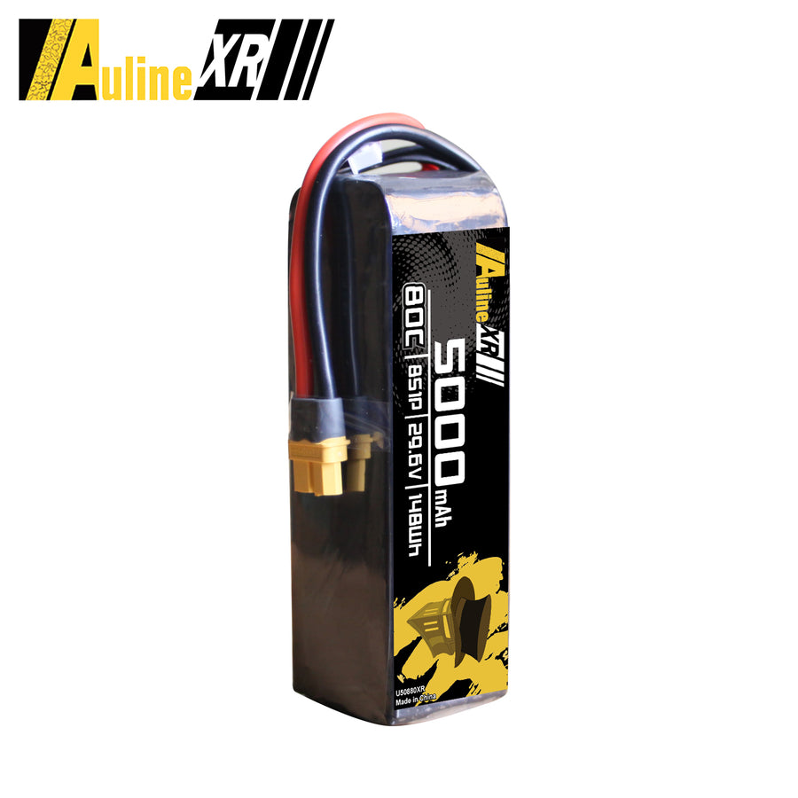 5PCS XR 5000MAH 8S1P 29.6V 80C XT60/XT90