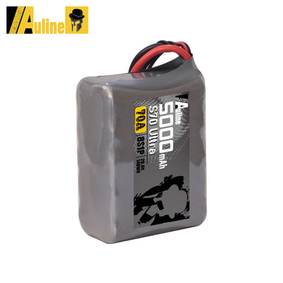 21700 S70 Ultra 5000MAH 8S1P 29.6V 70A XT60