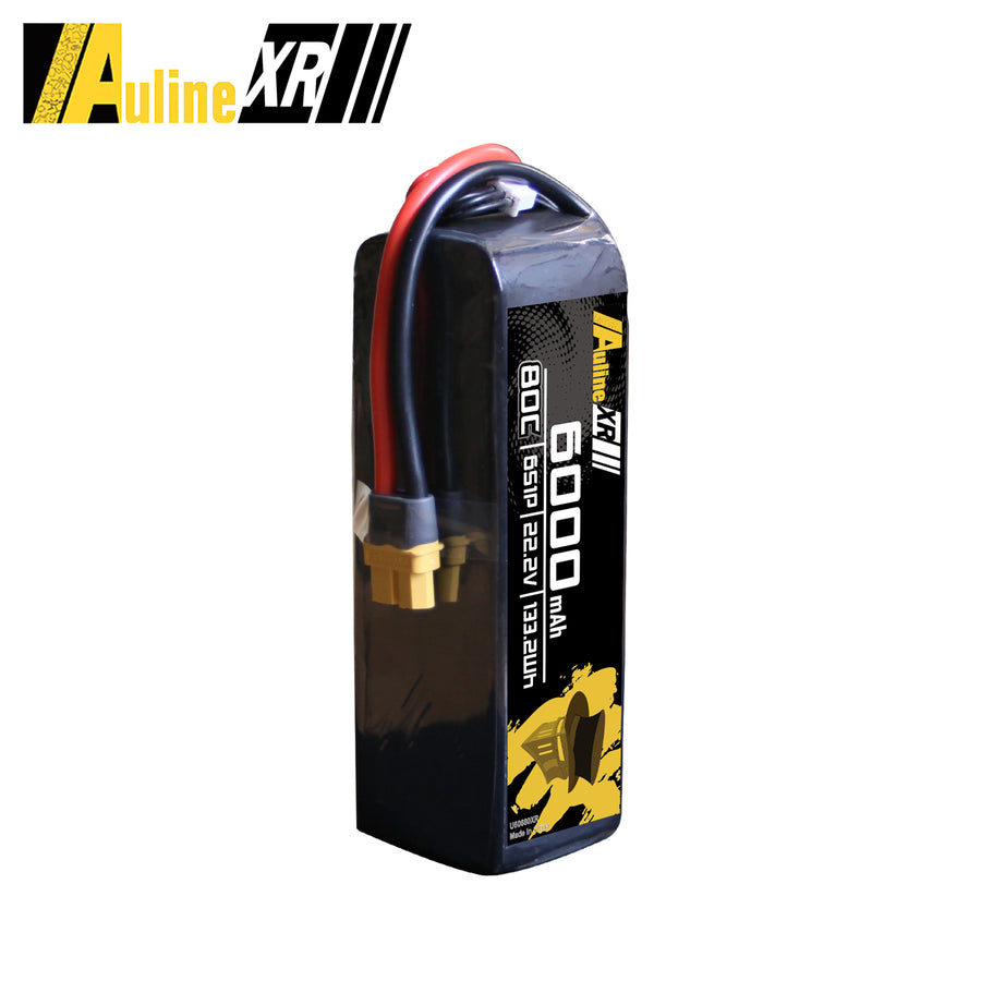 5PCS XR 6000MAH 6S1P 22.2V 80C XT60/XT90