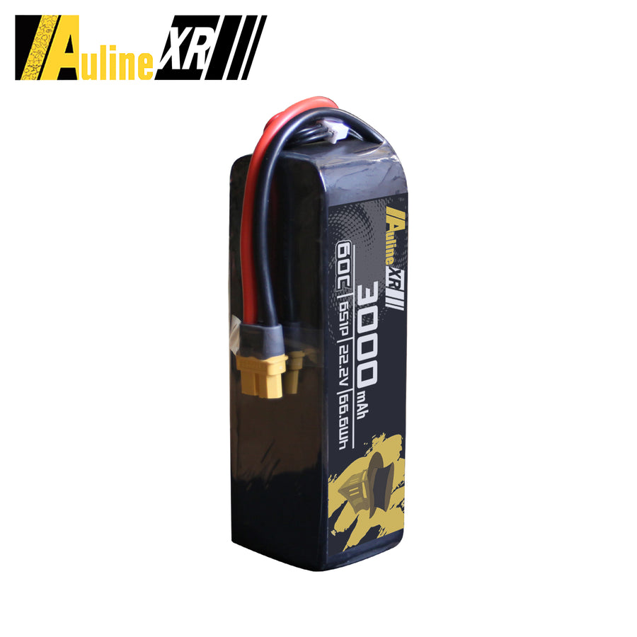 5PCS XR 3000MAH 6S1P 22.2V 60C XT60