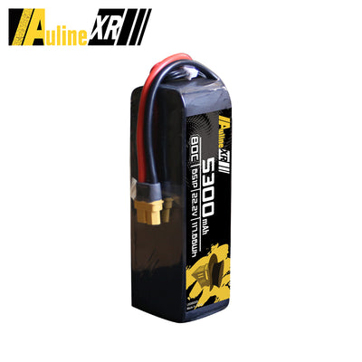 5PCS XR 5300MAH 6S1P 22.2V 80C XT60/XT90