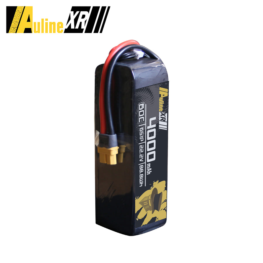 5PCS XR 4000MAH 6S1P 22.2V 60C XT60