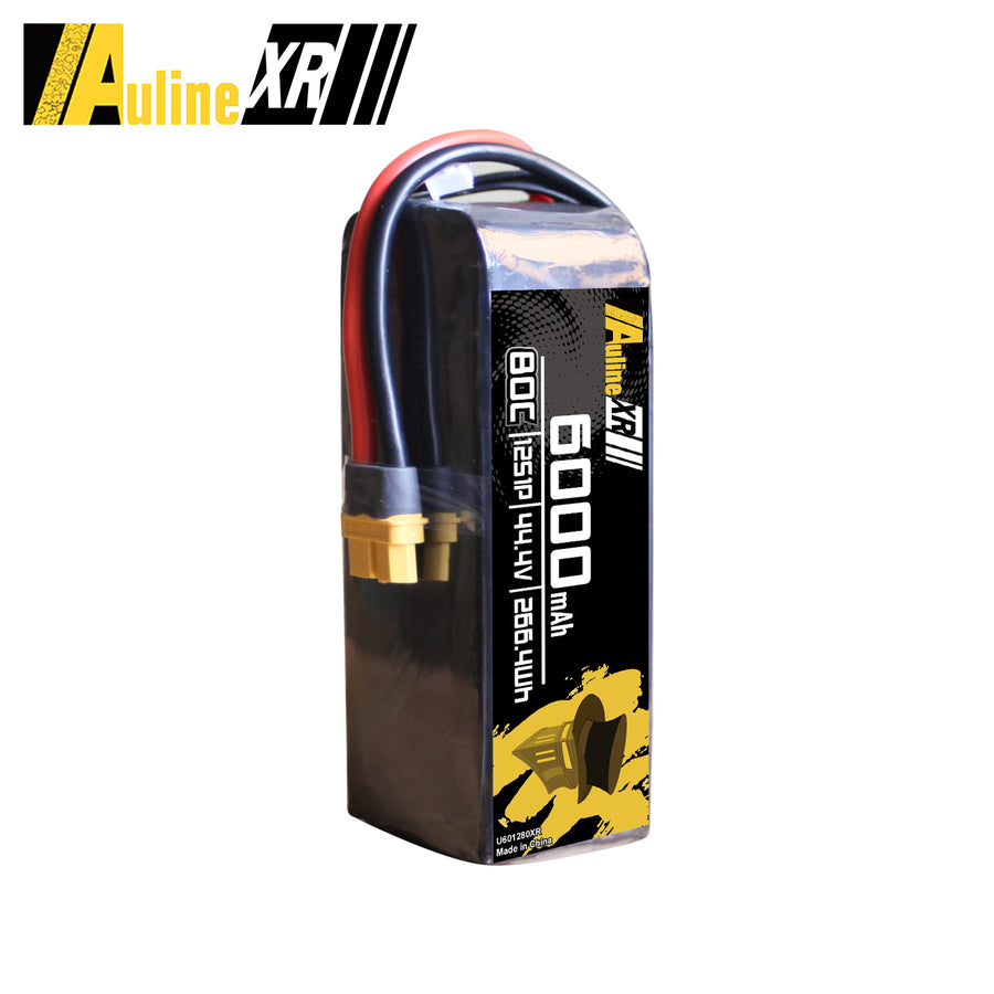 5PCS XR 6000MAH 12S1P 22.2V 80C XT60/XT90