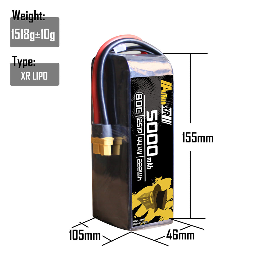 5PCS XR 5000MAH 12S1P 22.2V 80C XT60/XT90